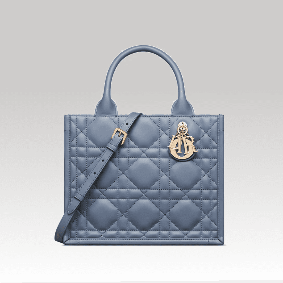 Christian Dior Book Tote Small Azul_00000