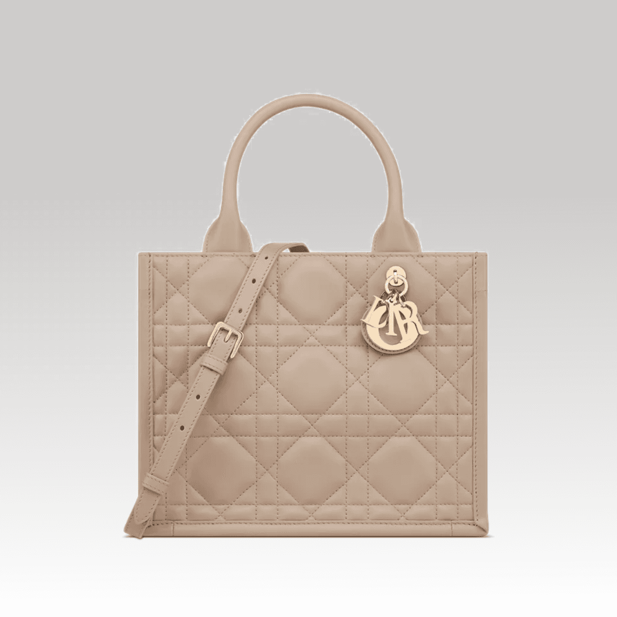 Christian Dior Book Tote Small Bege_00000