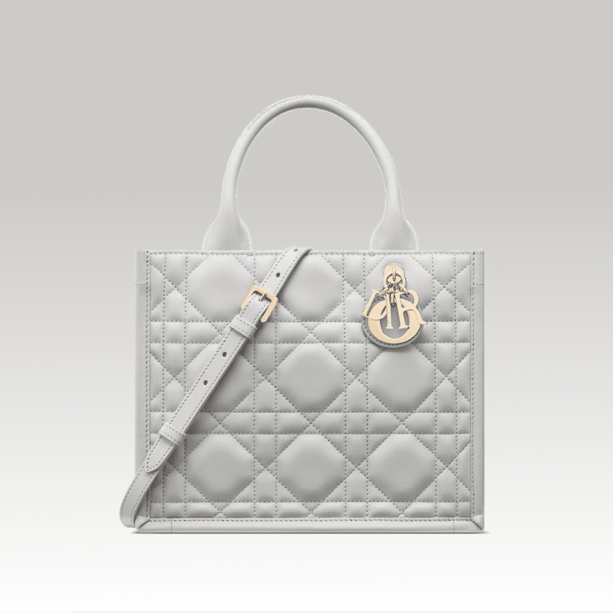 Christian Dior Book Tote Small Cinza_00000