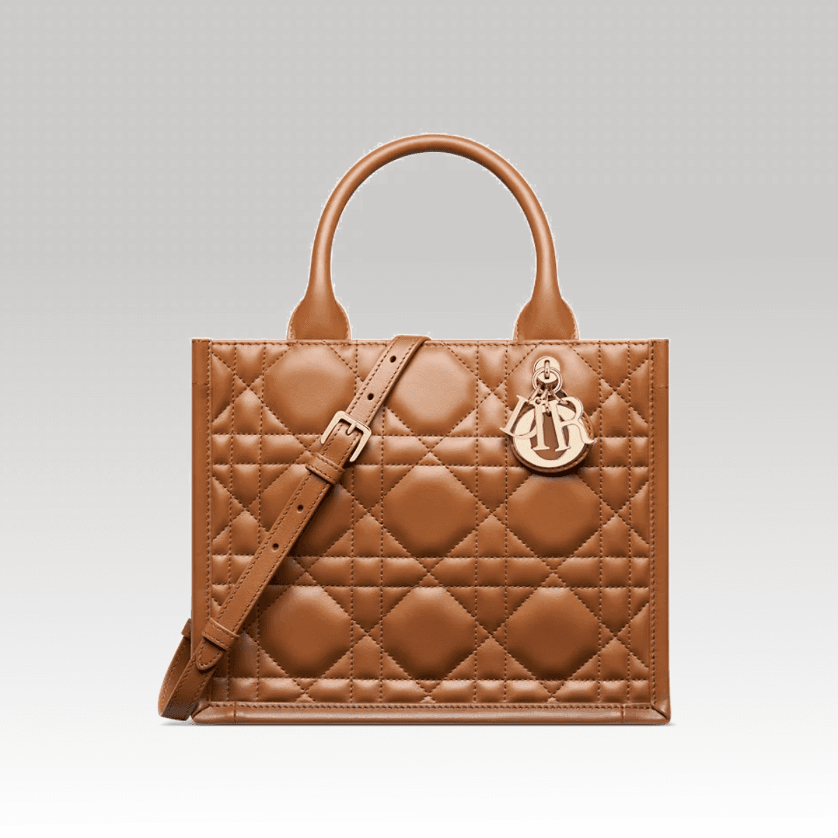 Christian Dior Book Tote Small Marrom_00000