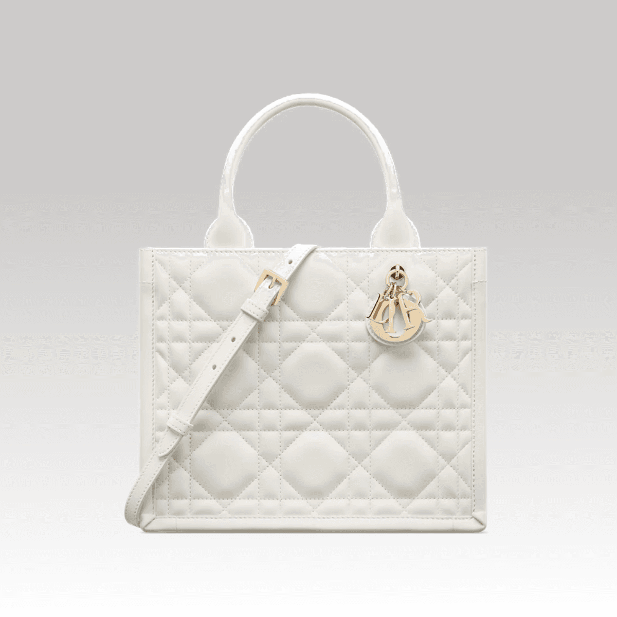 Christian Dior Book Tote Small White_00000