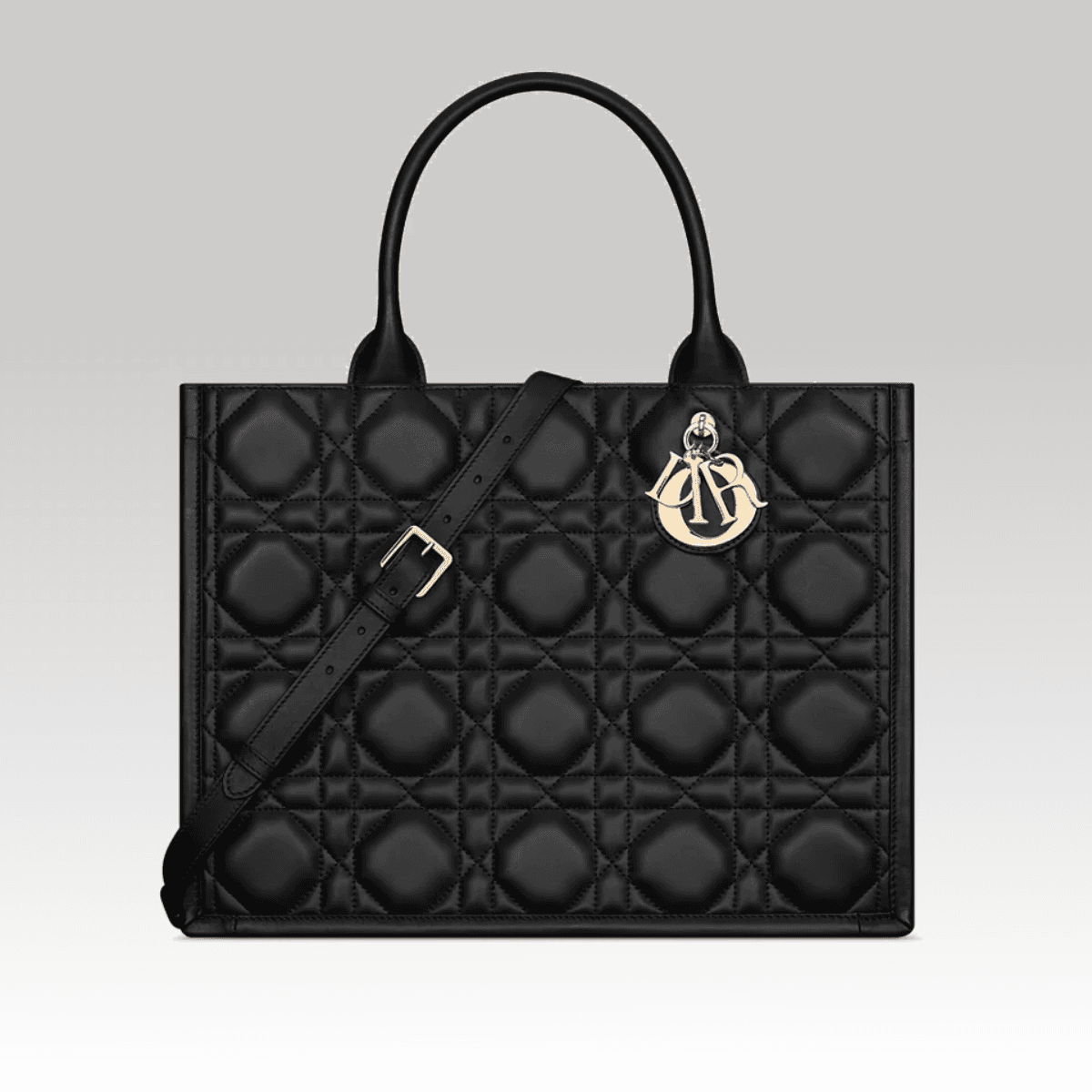 Christian Dior Book Tote medium Black_00000