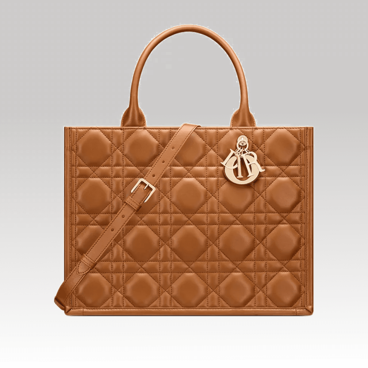 Christian Dior Book Tote medium Marrom_4_00000
