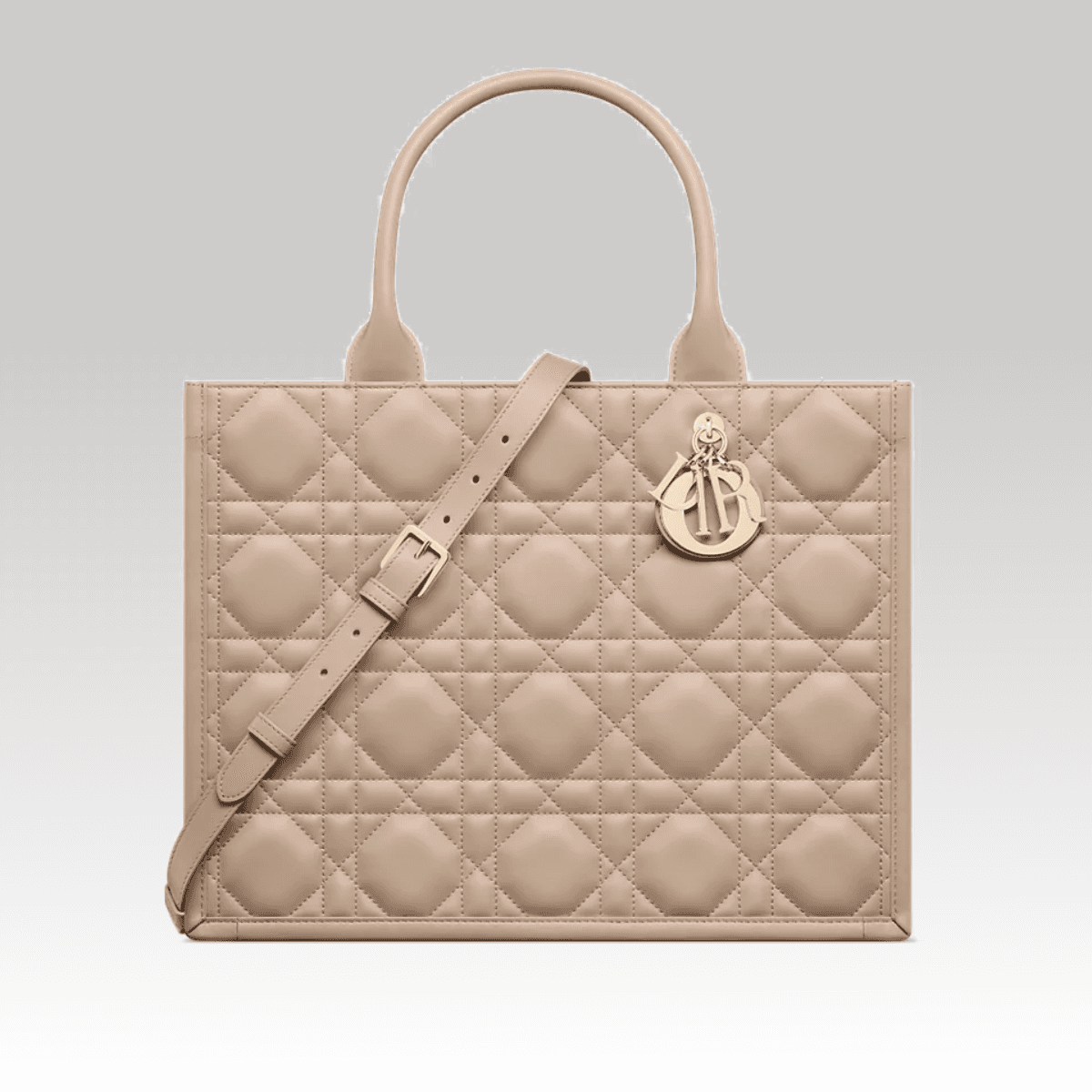 Christian Dior Book Tote medium Rosa Claro_00000 (2)