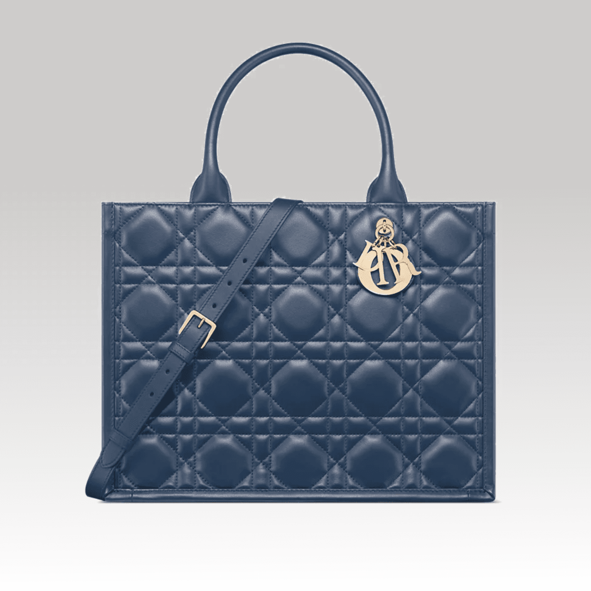 Christian Dior Book Tote medium Rosa Claro_00000