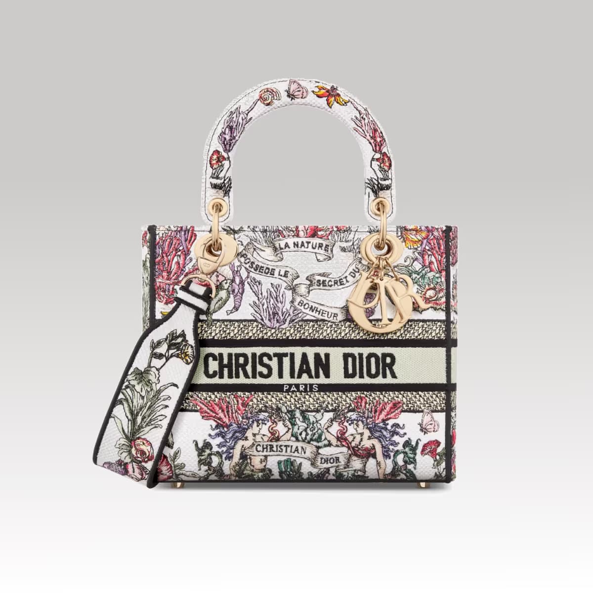 Christian Dior Lady D-Lite Bag_00000