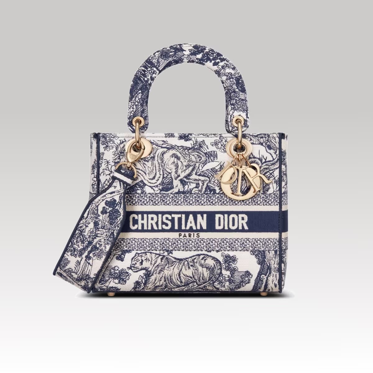 Christian Dior Lady D-Lite Blue_00000_00000