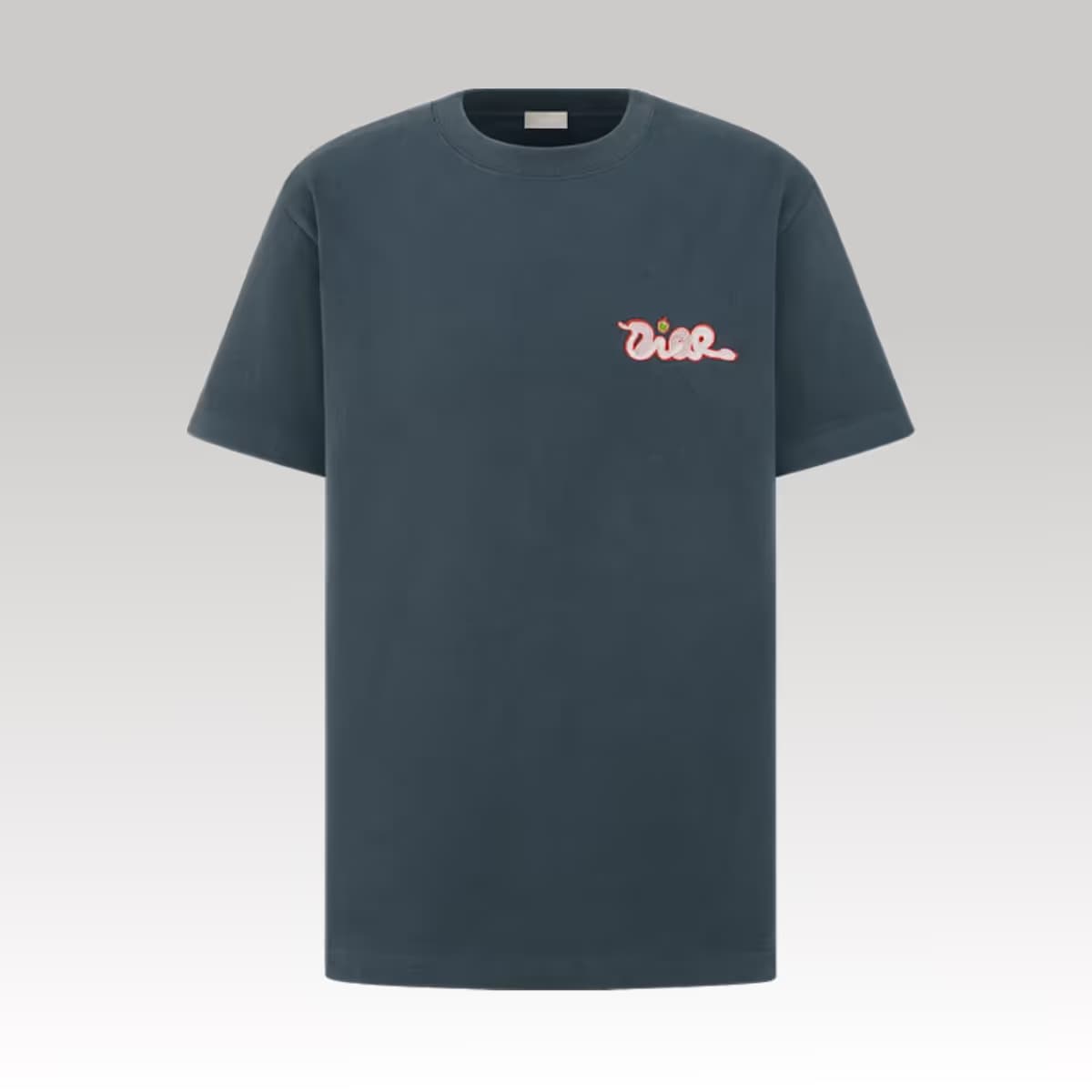 Dior and Kaws T-Shirt 2_00000