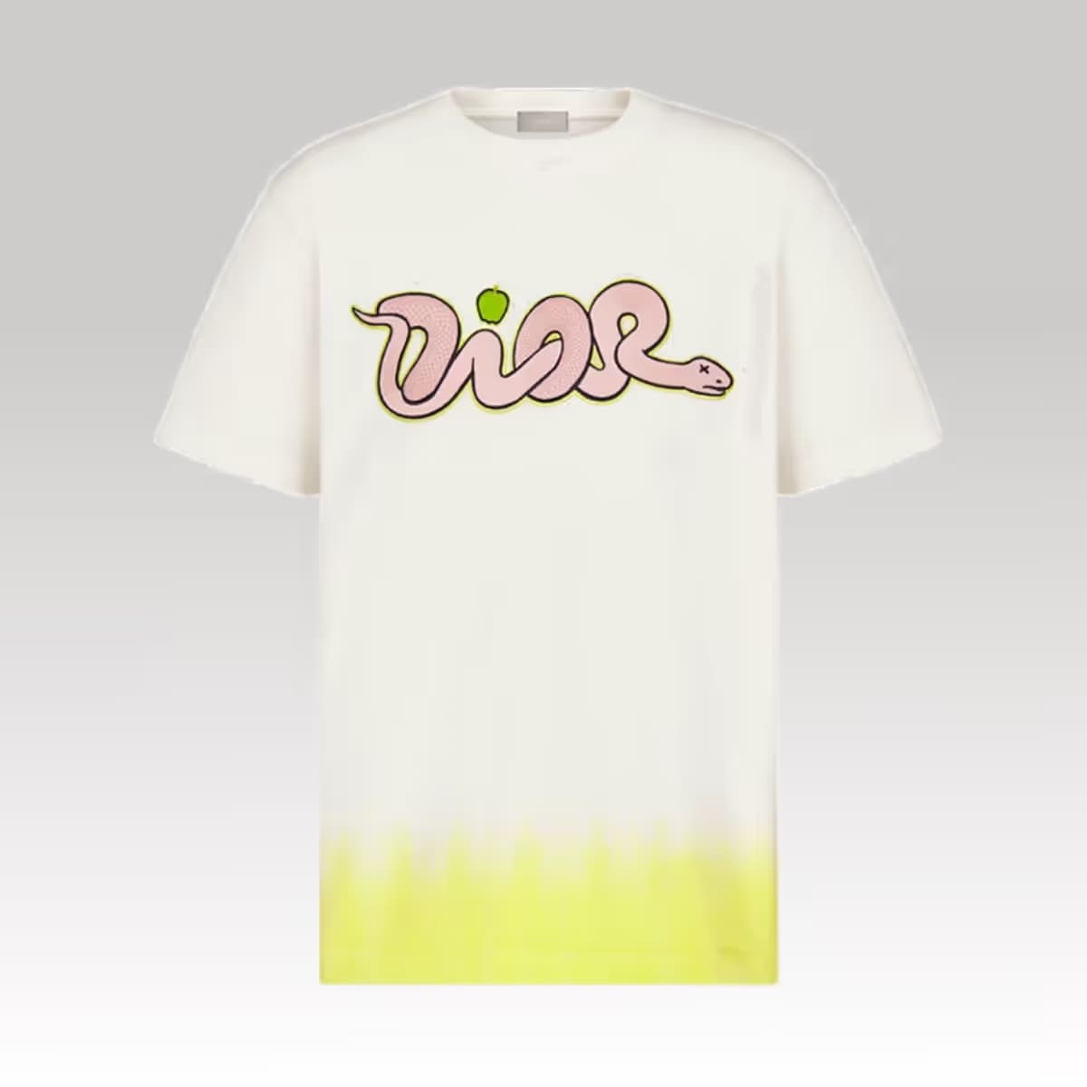 Dior and Kaws T-Shirt 3_00000