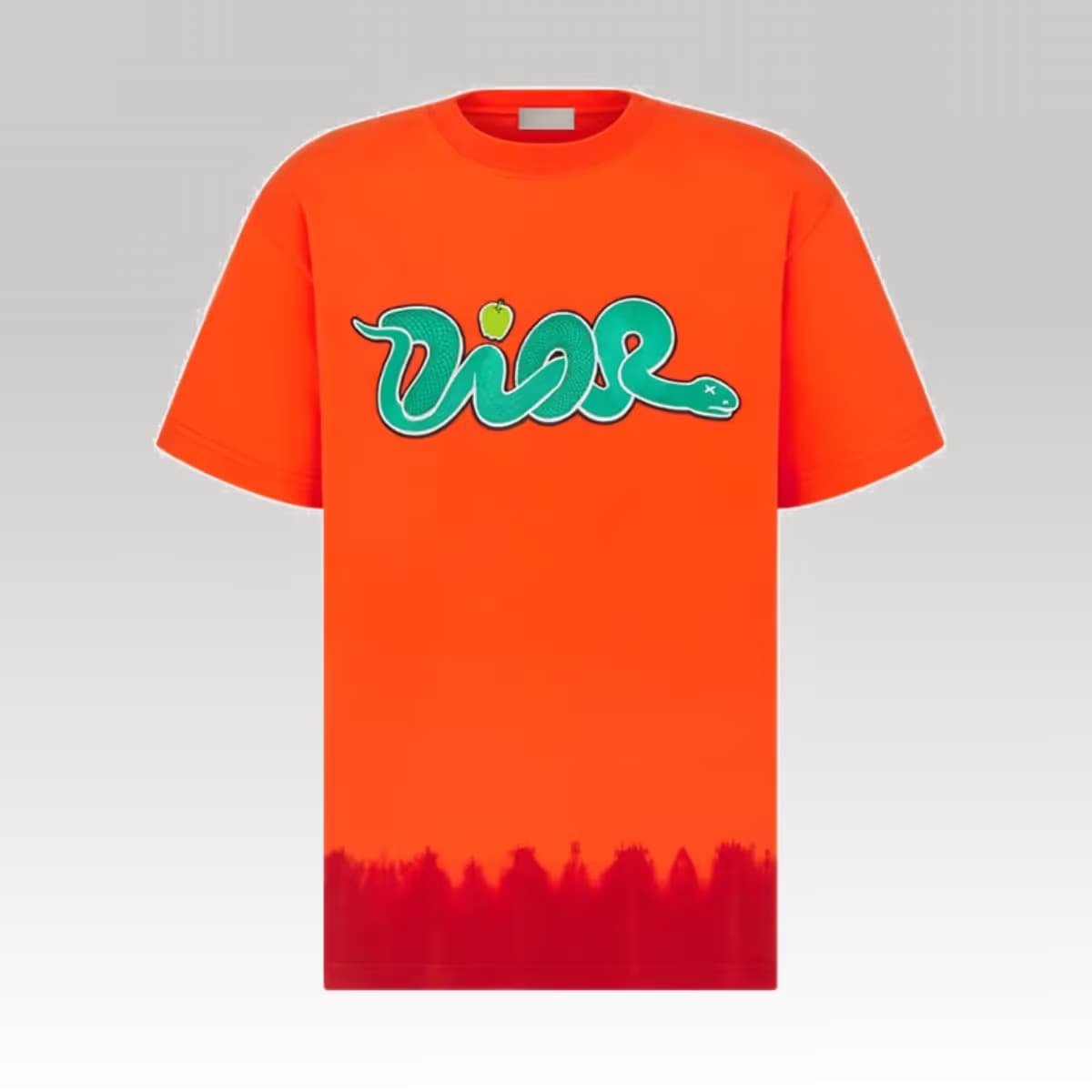 Dior and Kaws T-Shirt 4_00000