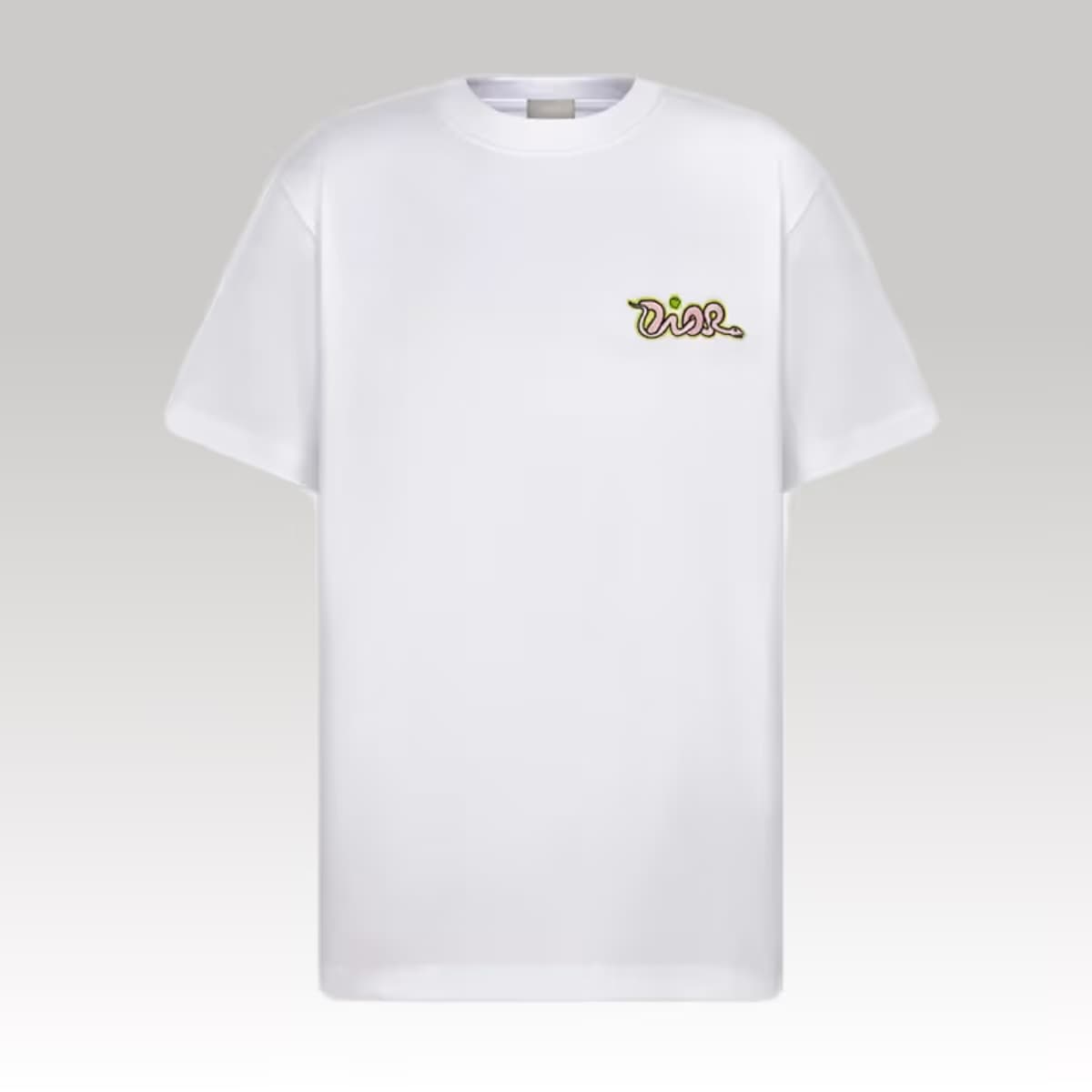 Dior and Kaws T-Shirt_00000