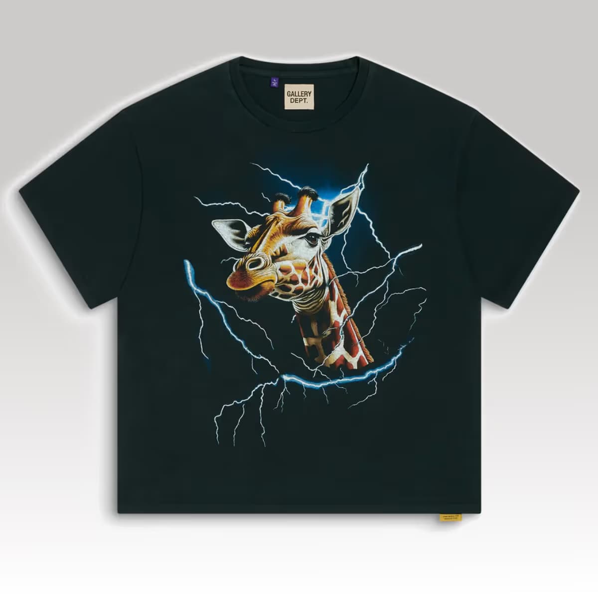 THEME PARK TEE_1_00000