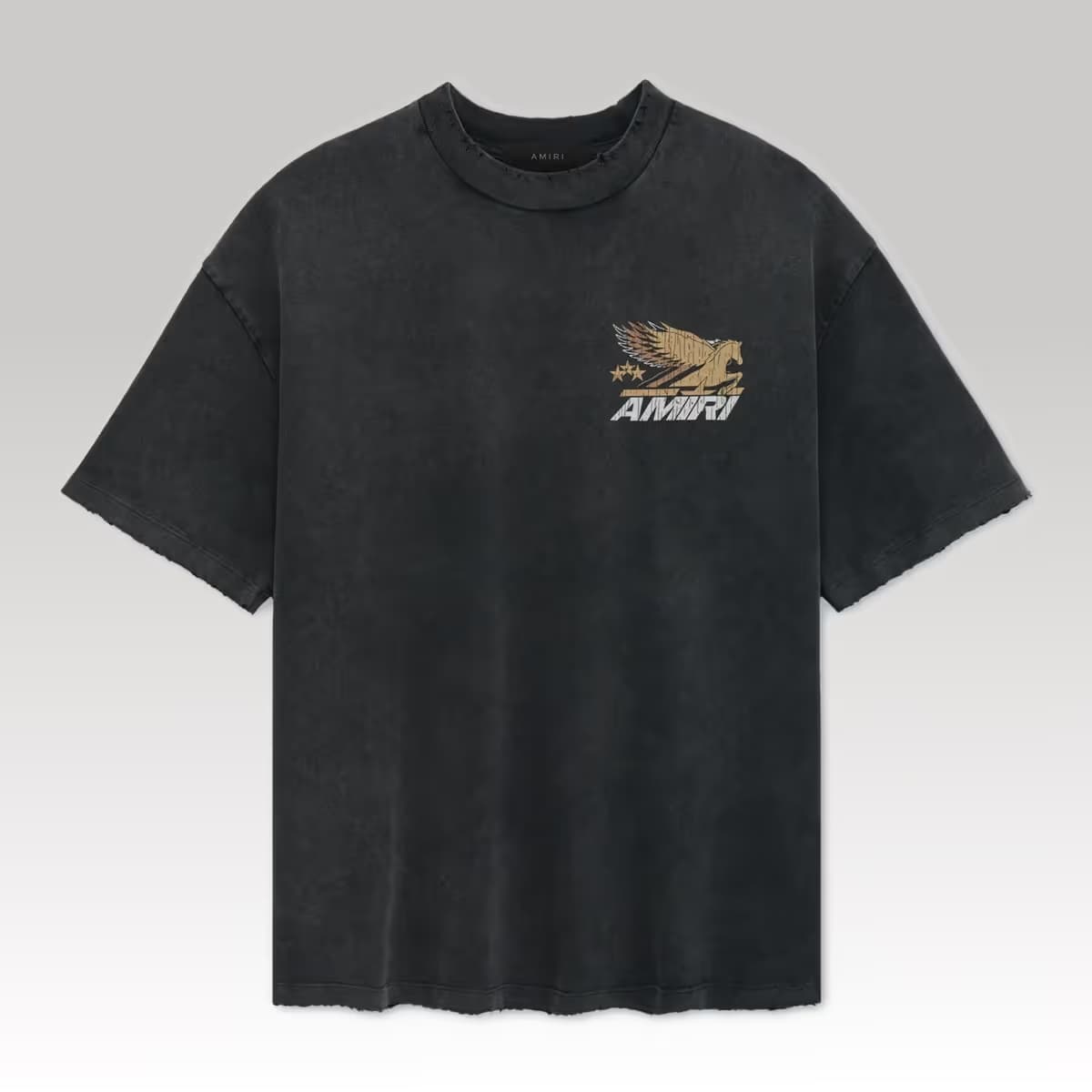 VINTAGE PEGASUS OVERSIZED TEE_1_00000